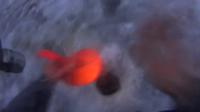 Рыбалка Пионерский пруд 20.12.2014 смотреть онлайн