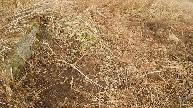 "Жесть" выручает. Здесь сотни килограмм жести под ногами. Коп металлолома смотреть онлайн