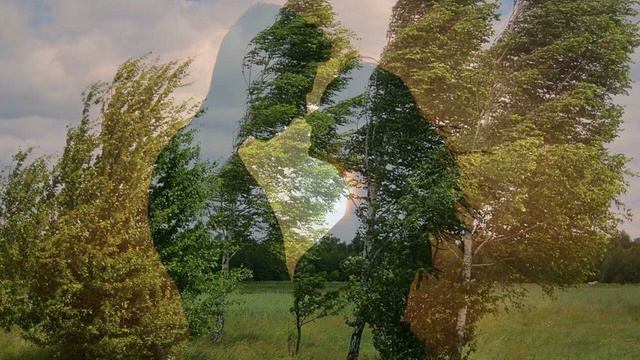 ТАРХ - Ветер