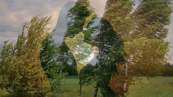 ТАРХ - Ветер