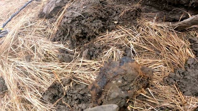 Металлокоп 2023 открытие сезона #копметалла #коп #металлопоиск #металлокоп смотреть онлайн