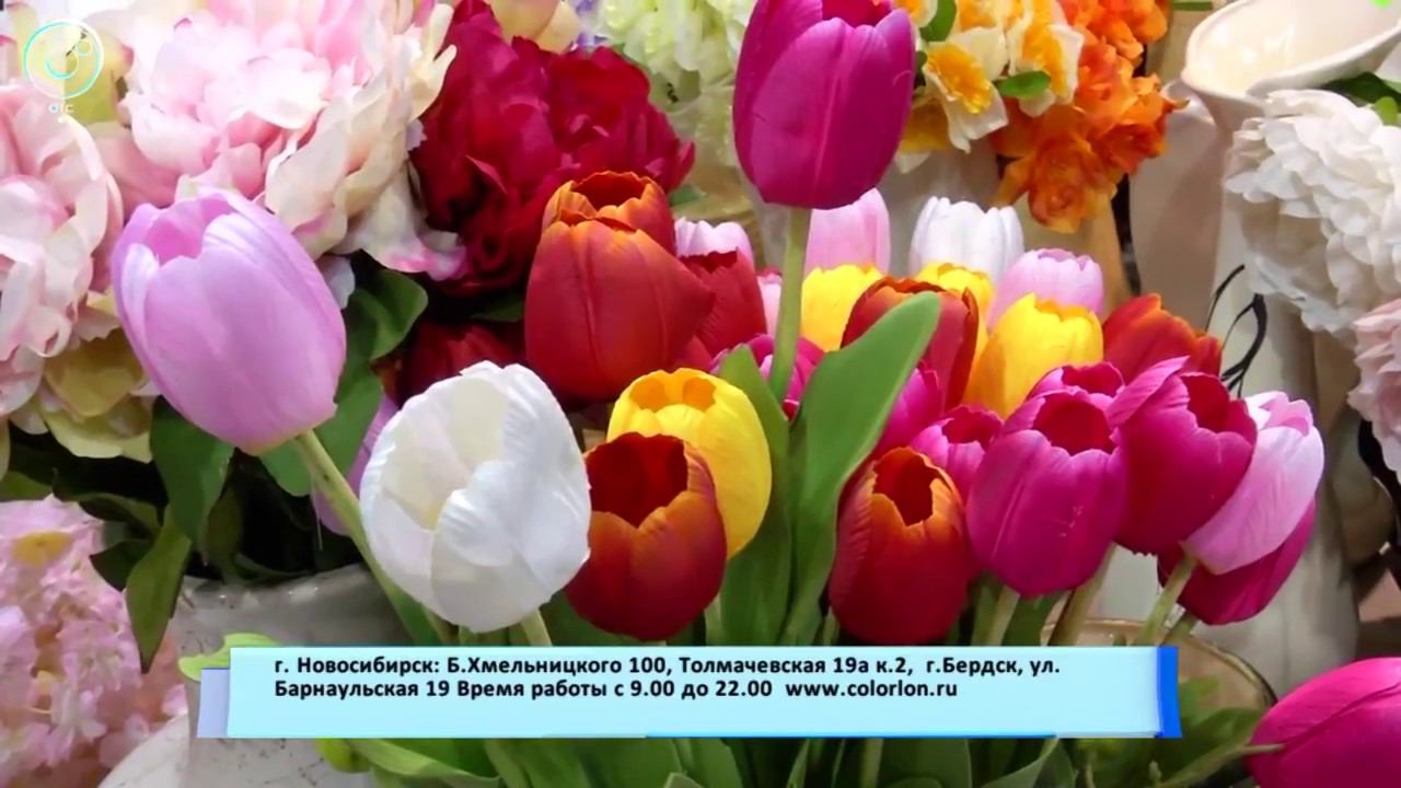 Цветы в горшках Новосибирске в КОЛОРЛОН ВТД смотреть онлайн
