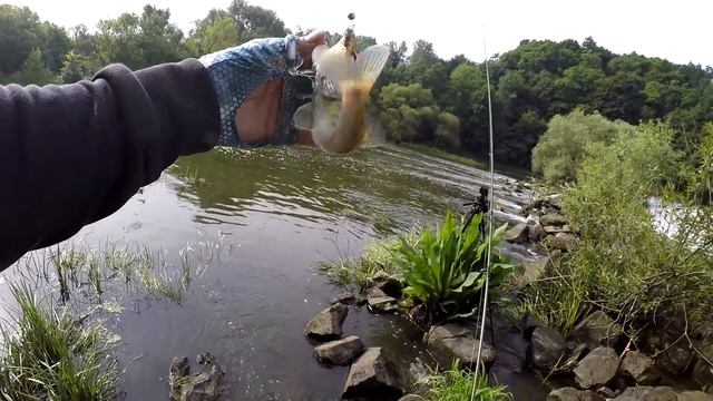 НЕОЖИДАННЫЙ УЛОВ во время городской рыбалки. Стритфишинг летом в жару. Favorite Team.