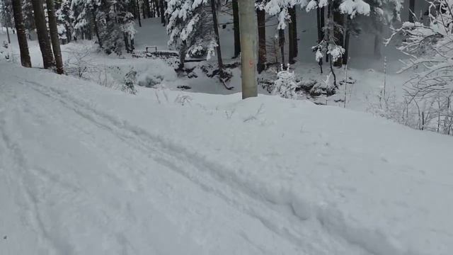 VLOG: Карпаты. Поход в горы. Зима. Лес. Катаемся на санках 2017 смотреть онлайн