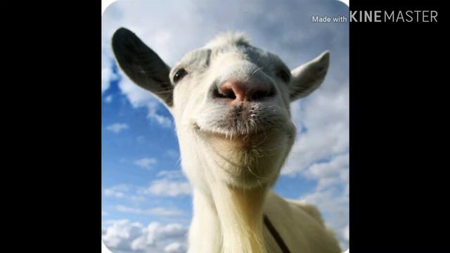 Что за игра симулятор козла? смотреть онлайн