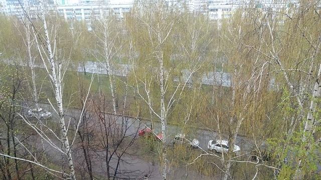 Птица в городе поёт и днем и ночью горихвостка смотреть онлайн