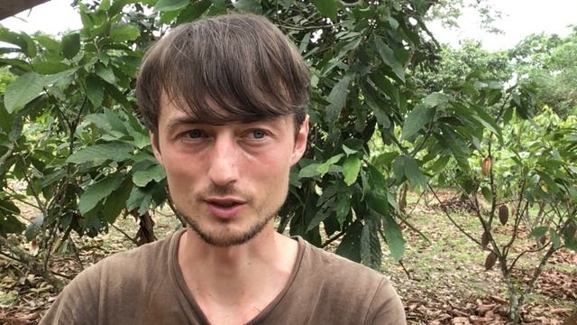 Дизайн и Разработка Веб-сайтов