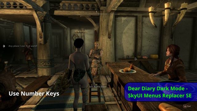 Dear Diary Dark Mode   SkyUI Menus Replacer SE  Interface in a dark fantasy style 대화 할때 편리함