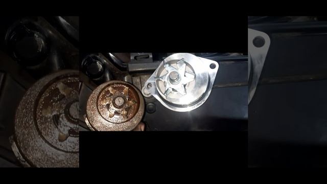 Troca Da Bomba D'água Do Citroen C4 1.6-16v  THP