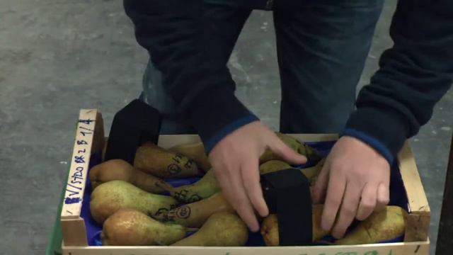 Relazione tra contenuto di amido negli organi legnosi delle piante di pero e capacità produttiva смотреть онлайн