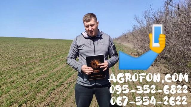 Стимулятор роста пшеницы ?Гумат Калия Ярило? Листовая подкормка для ячменя ?AGROFON смотреть онлайн
