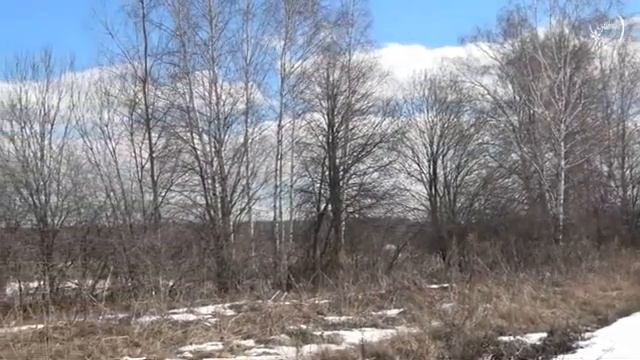Эту музыку можно слушать бесконечно #красиваямузыка #музыка #длядуши смотреть онлайн