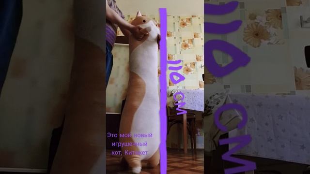 #китикет #кошачий корм #кошачий #shorts #шортс #Феликс #игрушка #котики смотреть онлайн