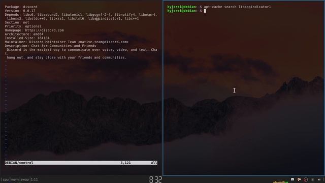 How to Install Discord on Debian 11 Bullseye (NO SNAPS) смотреть онлайн