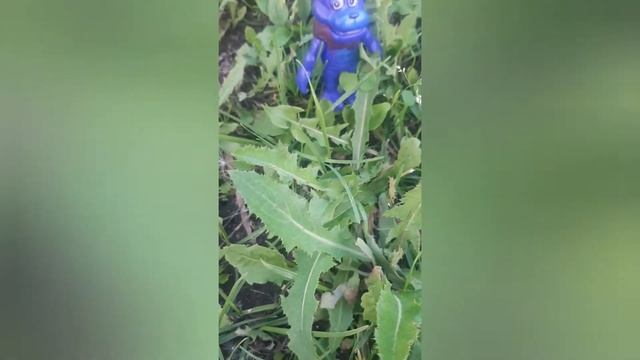 Прогулка на даче Оператора смотреть онлайн