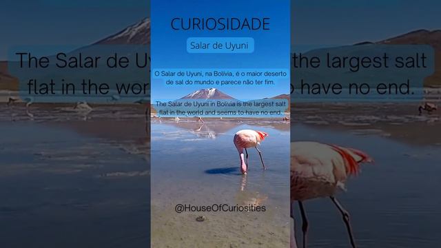 CURIOSIDADE SALAR DE UYUNI смотреть онлайн