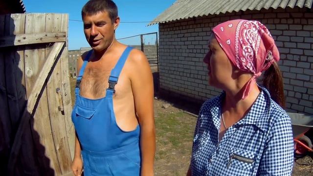 СПАСЛИ С БОЙНИ ТЁЛОЧКУ ШВИЦКОЙ ПОРОДЫ ! смотреть онлайн