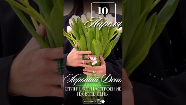 Среда смотреть онлайн