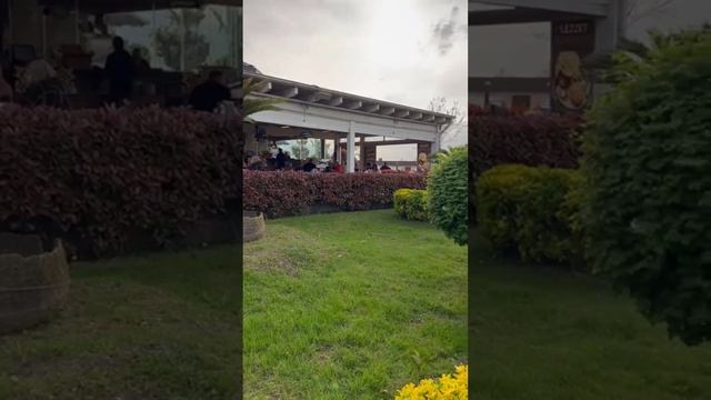 Немного прогулки по небольшой полянке. Прекрасная Турция.