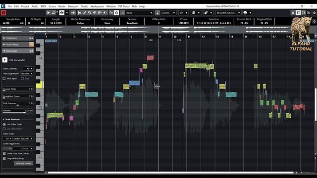 VariAudio With Scale Assistant in Cubase 12 Pro смотреть онлайн