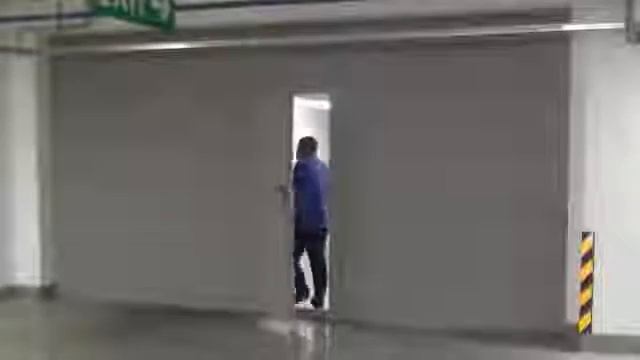 НПП Евросервис Подъемно секционные ворота с калиткой смотреть онлайн