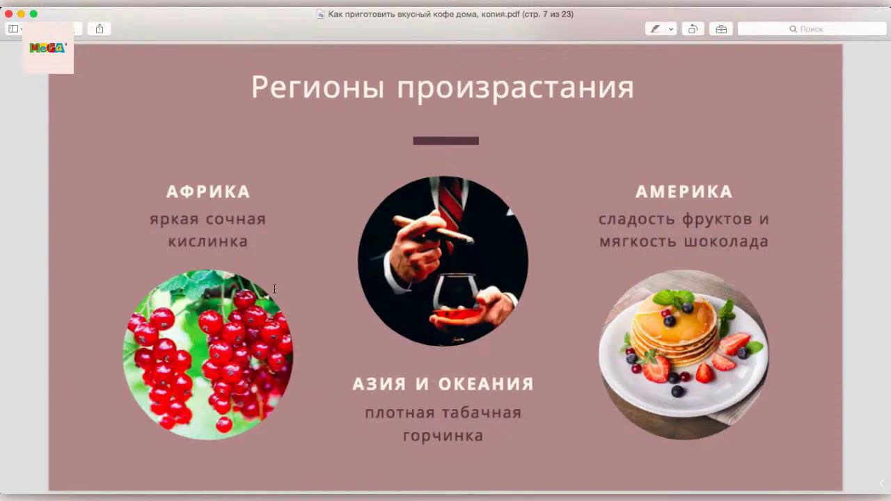 Вкусный кофе с Кантатой - прямой эфир с Мегой смотреть онлайн