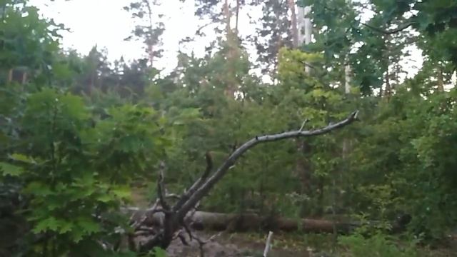 19 августа Песнь о Вещем Олеге смотреть онлайн