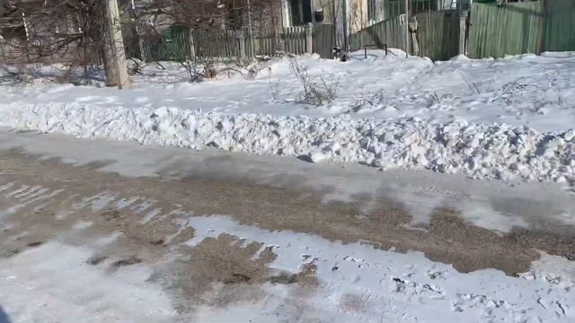 Vlog: зима в Крыму, универсальный крем, корейский тональный Enough Collagen смотреть онлайн