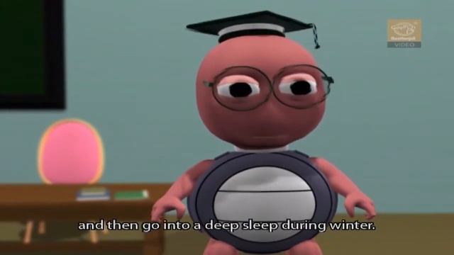 Why Do Animals Hibernate? - Fun Hibernation Facts for Kids смотреть онлайн