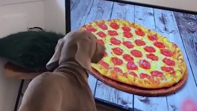 любимая пицца была так близко... смотреть онлайн