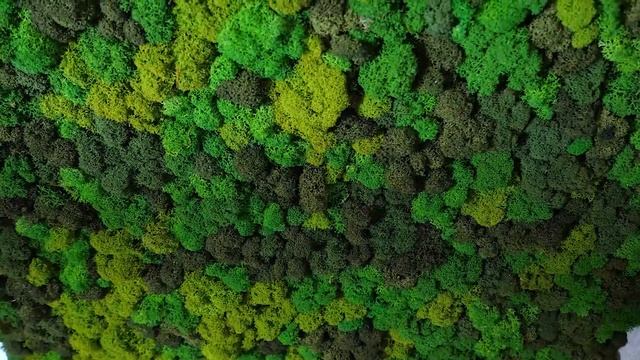 Современное строительство (часть 9) смотреть онлайн