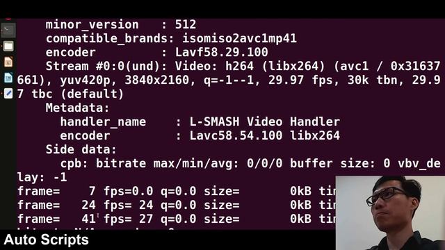 FFmpeg Tutorial -Delete audio from any video using FFmpeg command with ease смотреть онлайн
