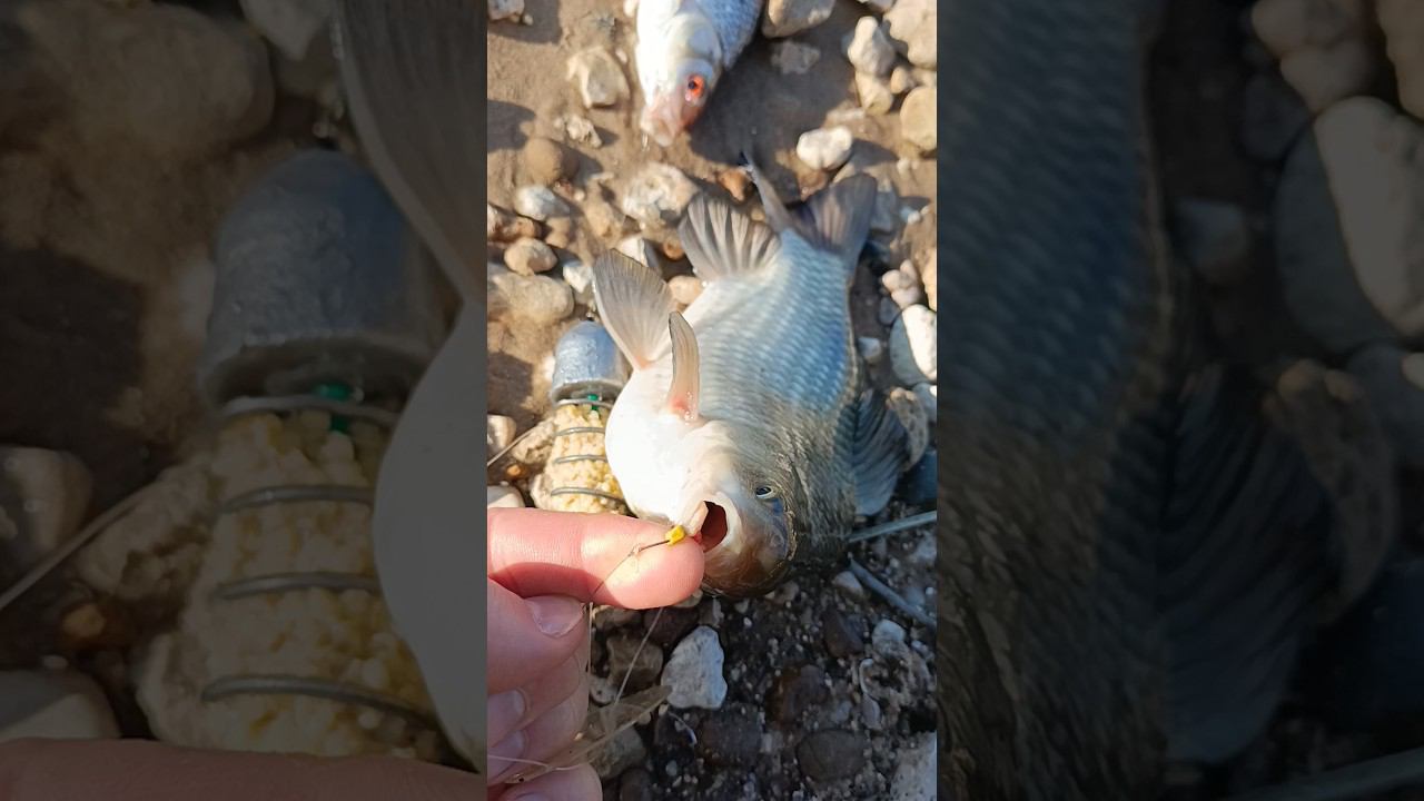 15 мая 2024 г. смотреть онлайн