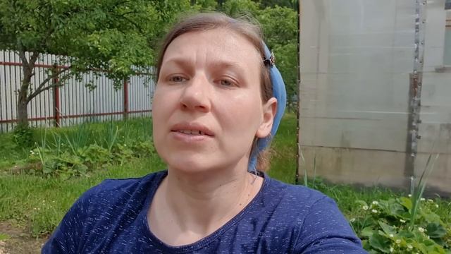Это было неожиданно, дети испугались... смотреть онлайн