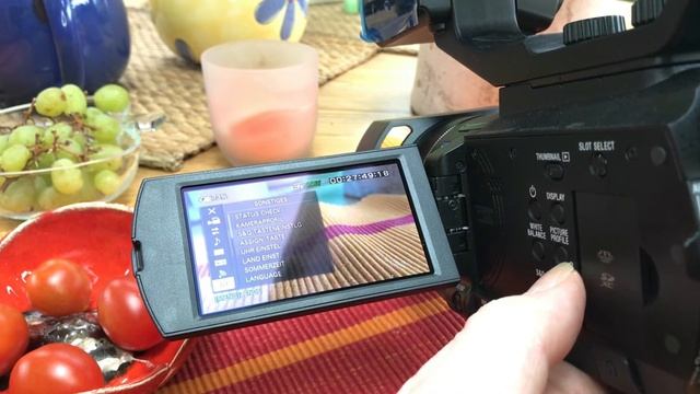 SONY XDCAM PXW-Z90 TEST смотреть онлайн