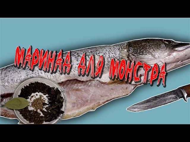 Щука холодного копчения Маринад для монстра смотреть онлайн