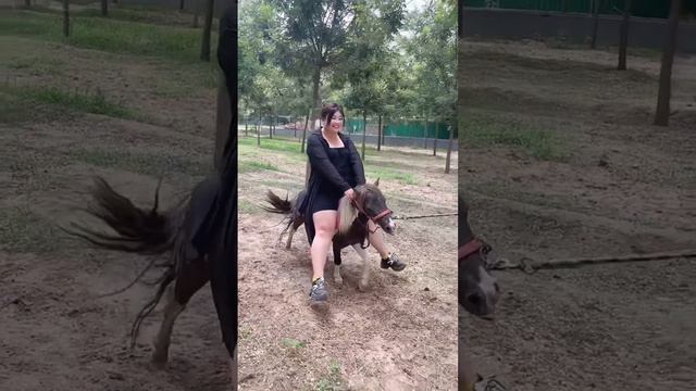Lady riding a pony смотреть онлайн