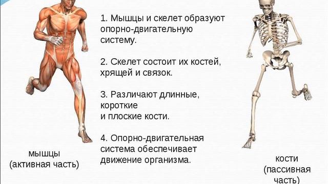 одс смотреть онлайн