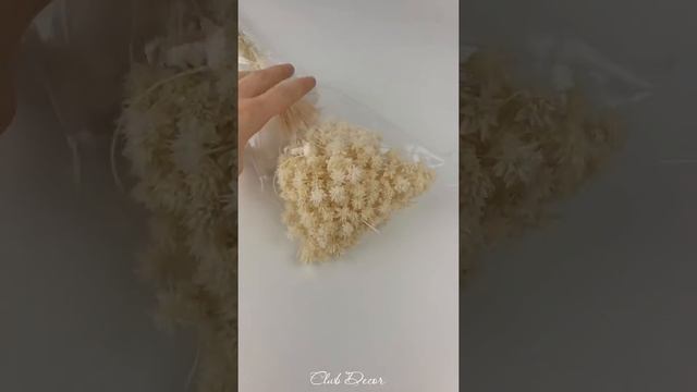 Хилл Флауэр Cтробилантес смотреть онлайн