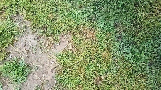 Kineski skuter bez auspuha смотреть онлайн
