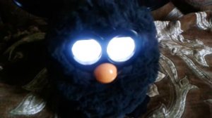 Обзор на ферби (Furby) черный.