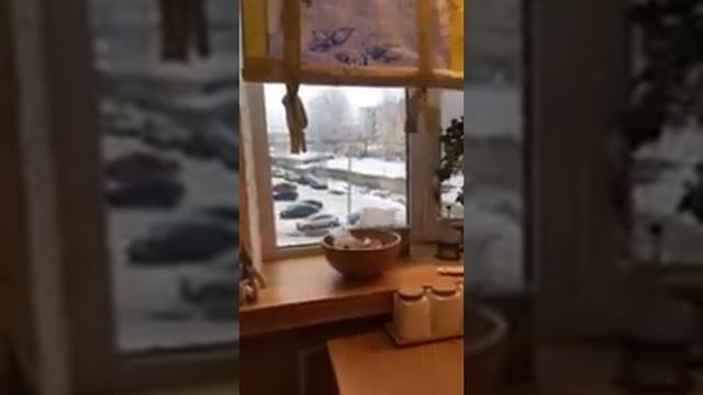 Винный шкаф из дуба, дубовый подоконник и столешница смотреть онлайн