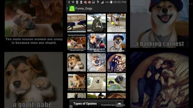 Whatsapp Images Android App смотреть онлайн