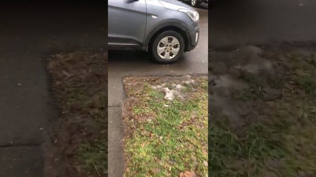 стоп хам? смотреть онлайн