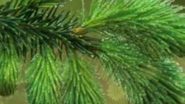 Давно мы дома не были смотреть онлайн