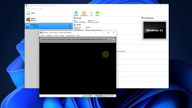 Windows 11 & VirtualBox смотреть онлайн
