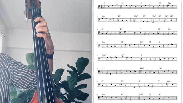 On The Sunny Side Of The Street(Easy Jazz Walking Bass) смотреть онлайн