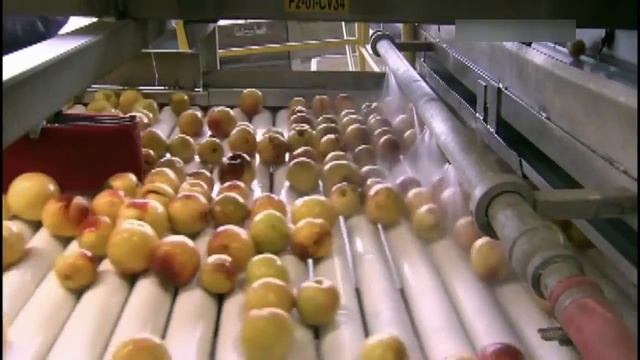 Замороженные фрукты (Как это работает) смотреть онлайн