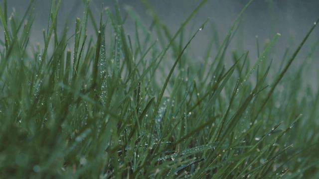 Rain sounds and relaxing music for meditation/piano/guitar,for study,work, sleep,relaxing relaxatio смотреть онлайн