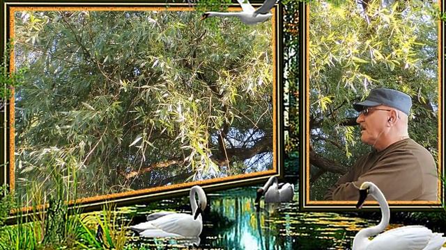 ПЛАКУЧАЯ ИВА ( АКАПЕЛЬНОЕ ПЕНИЕ - ДЕБЮТ) - Алексей Доктор Леший - бард смотреть онлайн